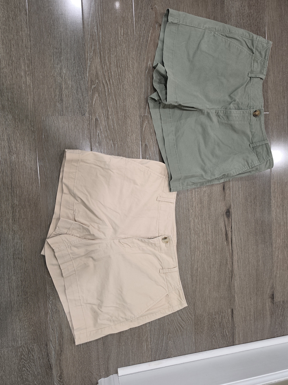 LOFT Women's Monroe Shorts in Sage Green and Beige Duo